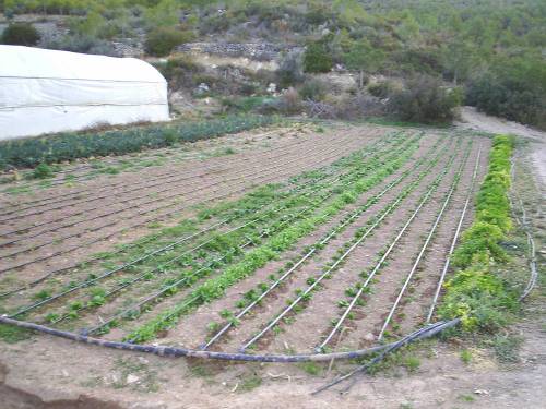 Irrigation_system1