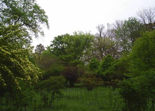 Arboretum3