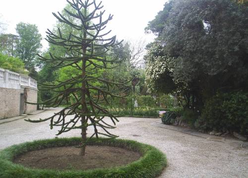 Padua_botanic_garden6