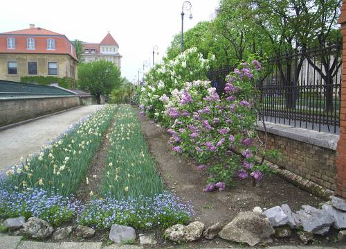 Zagreb_botanic_garden3