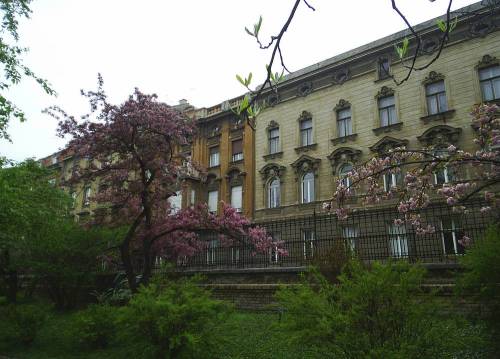 Zagreb_botanic_garden2