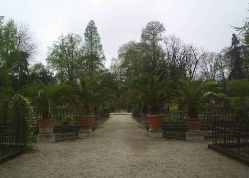 Padua_botanic_garden8