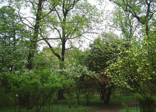 Arboretum4